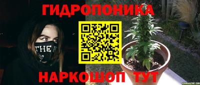каннабис Краснознаменск